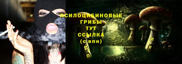 герыч Касимов