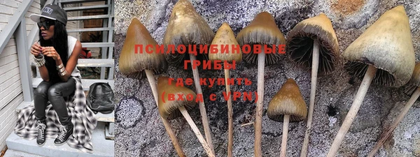 спиды Карпинск